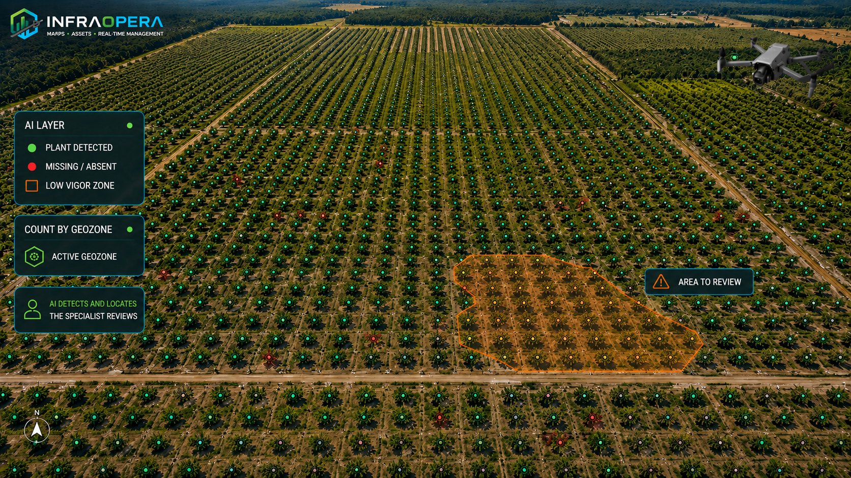 AI-assisted photointerpretation over the orthomosaic of an oil palm plantation: each detected palm marked in green, the gaps or missing ones in red, and a low-vigor zone delimited as a polygon for the specialist to verify.