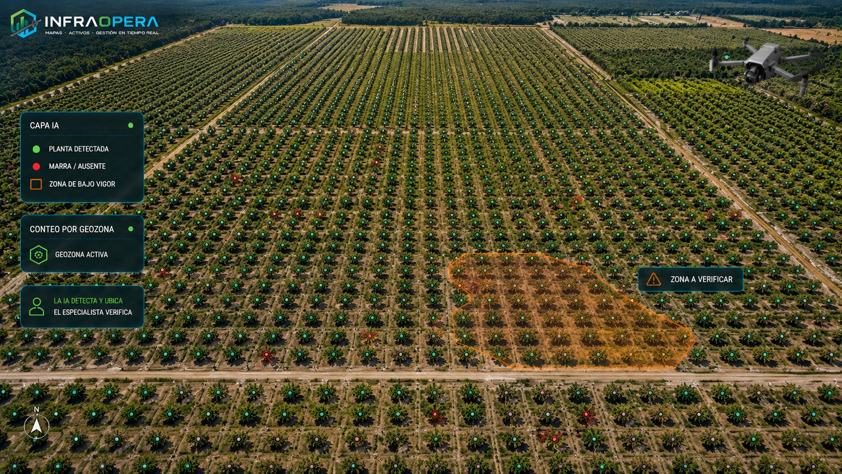 Fotointerpretación asistida por IA sobre el ortomosaico de una plantación de palma: cada palma detectada marcada en verde, las marras o ausentes en rojo, y una zona de bajo vigor delimitada como polígono para que el especialista la verifique.