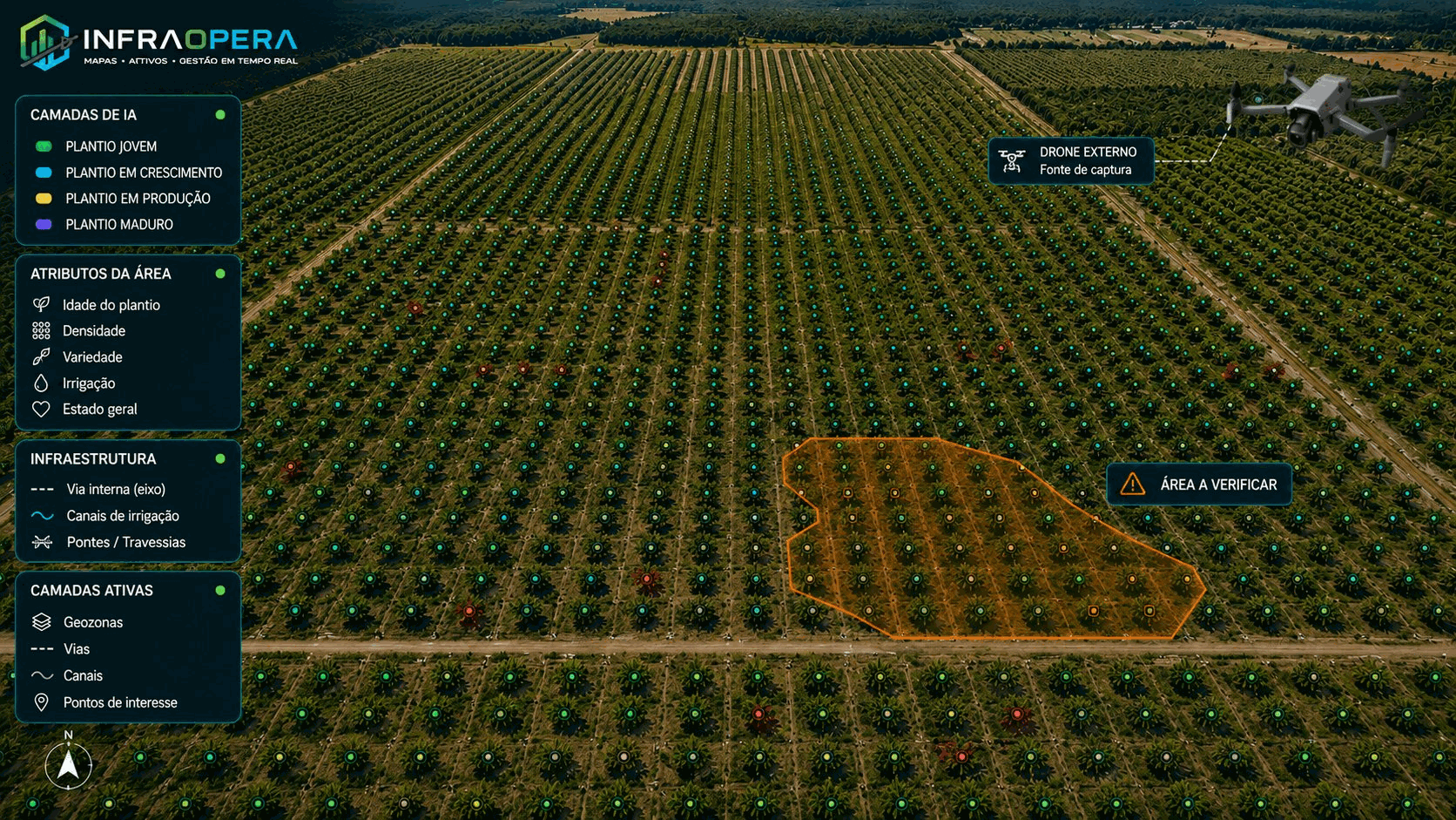 Fotointerpretação assistida por IA sobre o ortomosaico de uma plantação de palma: cada palma detectada marcada em verde, as falhas ou ausentes em vermelho, e uma zona de baixo vigor delimitada como polígono para o especialista verificar.